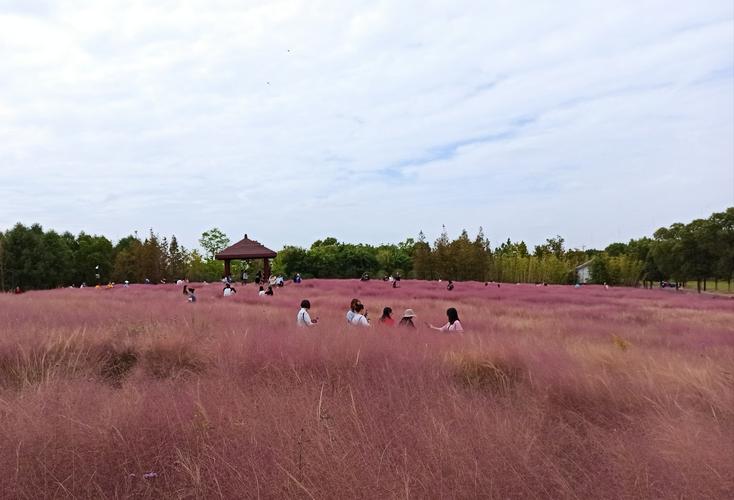 20201014吴江胜地公园