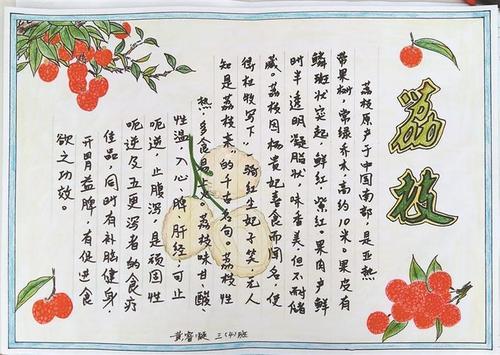 关于荔枝方面的手抄报 读书方面的手抄报