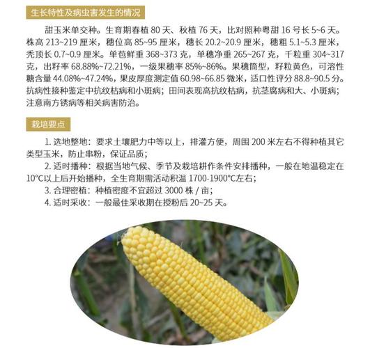 2019年广东省农业主导品种详解玉米花生甘蔗