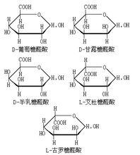 六碳糖酸的种类