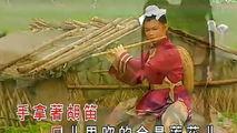 小放牛 - 王雪晶庄群施金燕子