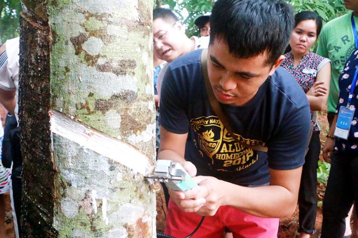 4gxj型电动割胶刀斩获海南省"科创杯"大赛二等奖