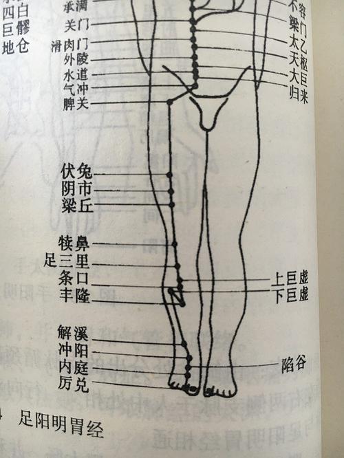 内踝前方沿小腿内侧上行至膝 沿大腿内侧上行至腹股沟 至下向上刮为补