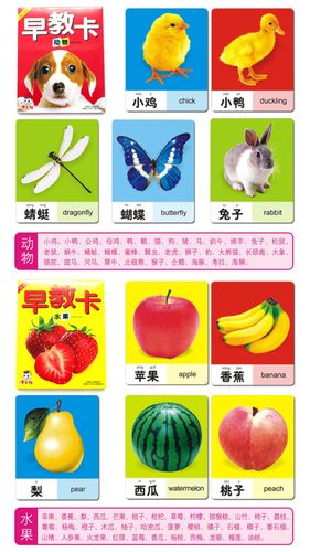 全4册宝宝书籍幼儿早教卡婴儿认字识图识物动物卡片早教认知婴幼儿童