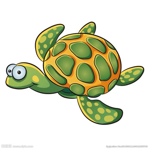 卡通海龟图片