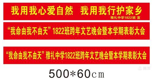 2019跨年夜《我命由我不由天》