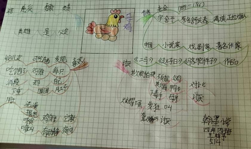 四年四班《母鸡》思维导图集