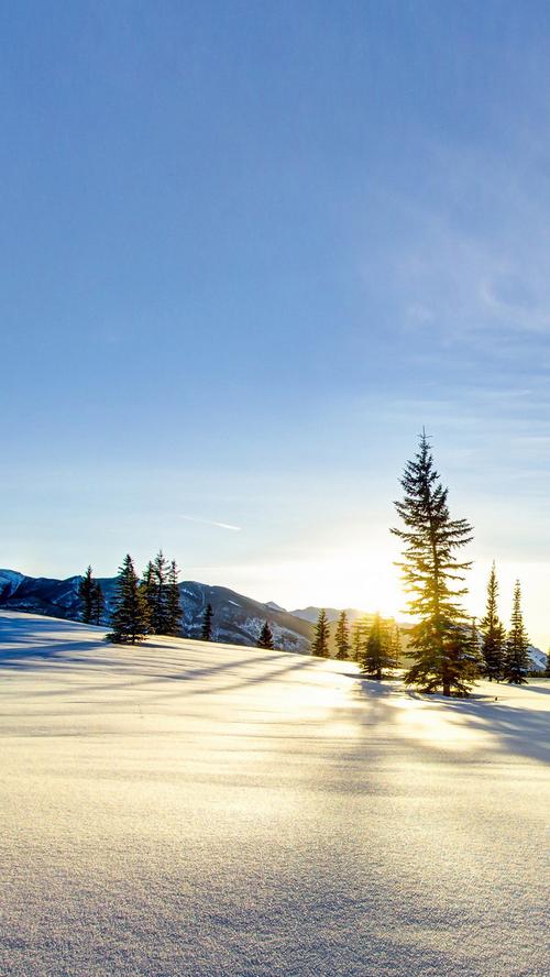林海雪原h5背景