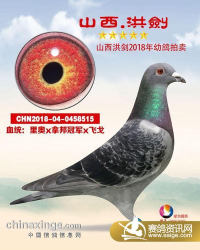 山西洪剑(5)