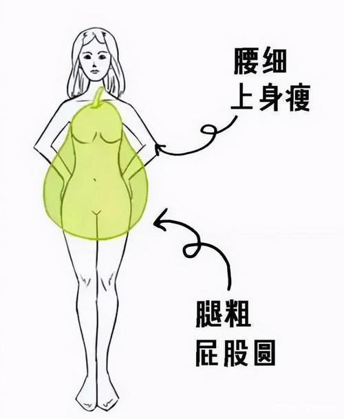 大腿和屁股胖怎么减肥,梨形身材怎么瘦?