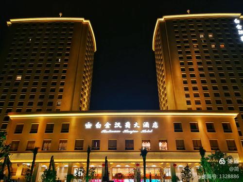 常州潞城白金汉爵大酒店夜景 2019-2-20