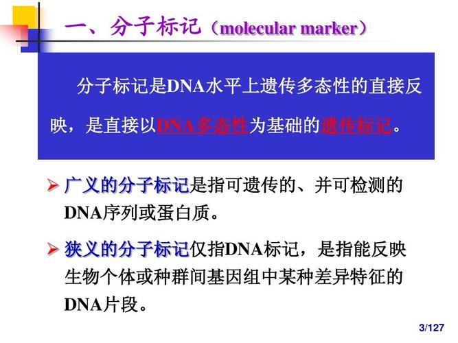 分子标记辅助选择育种-useppt