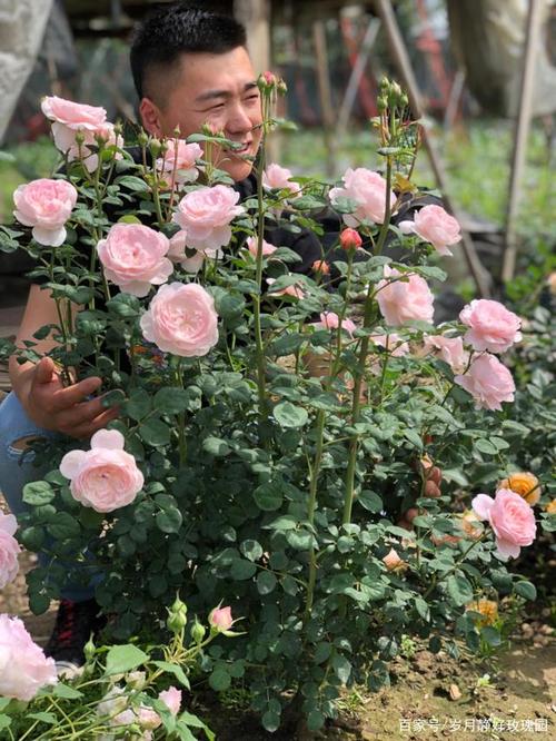 岁月静好园艺:不服不行!颜值担当—瑞典女王