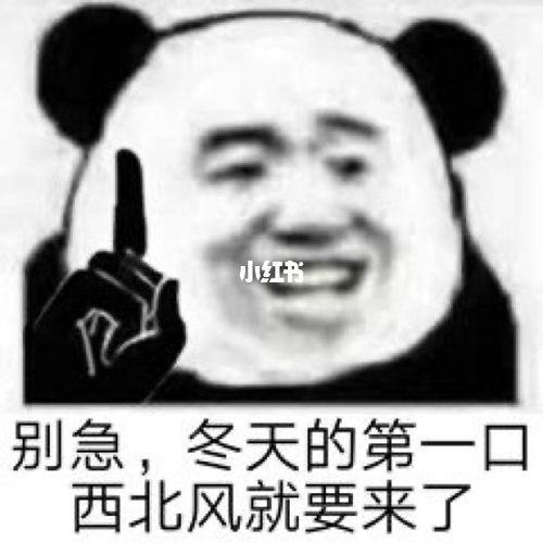 今天保存的表情包_表情包_素材_表情包