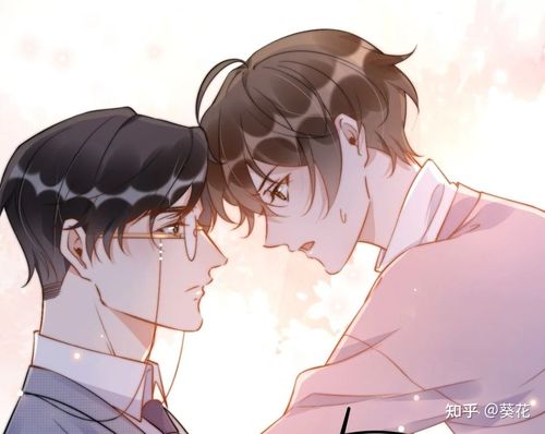 你的距离作者公子优