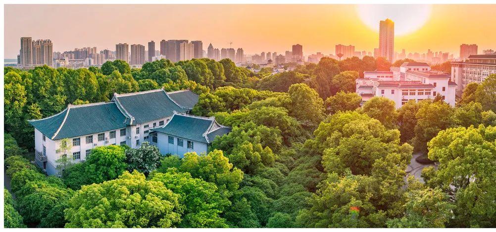 华中师范大学2021年国际青年学者论坛公告