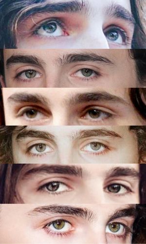 甜茶的眼睛似乎也是偏灰的黄绿色呢,眉毛很好看啊