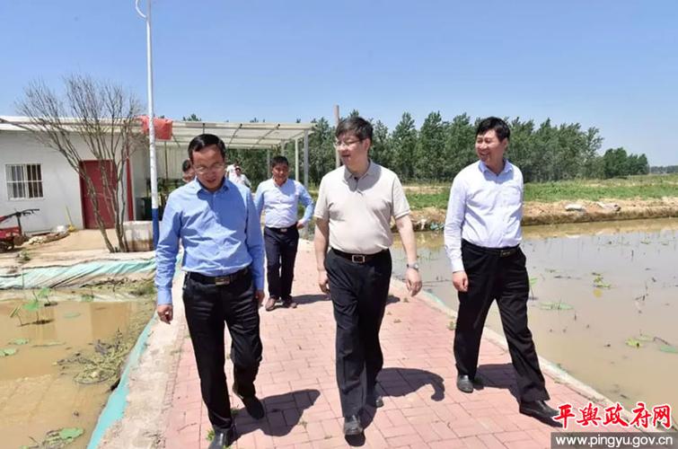 北京矿冶科技集团有限公司党委书记,董事长夏晓鸥一行深入平舆县调研