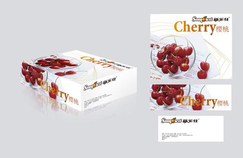 樱桃包装(白)