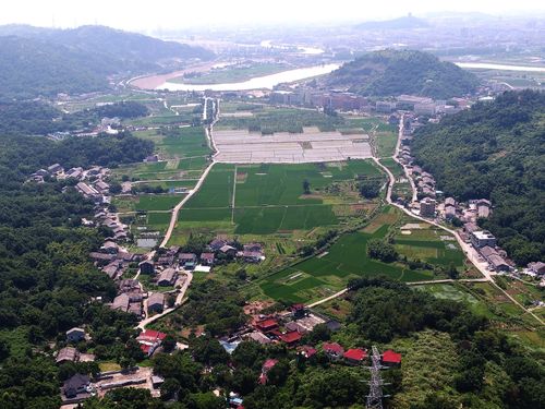 道源塔遗址位于平阳县萧江镇桃源村,2019年7月18日,桃源村当地村民在