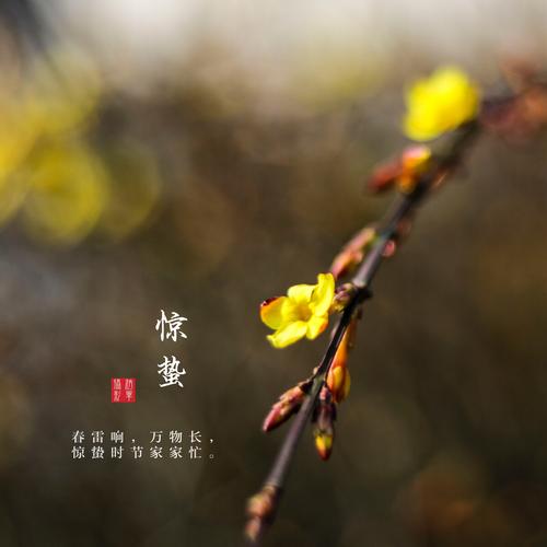 惊蛰- 赵军2022 - 图虫