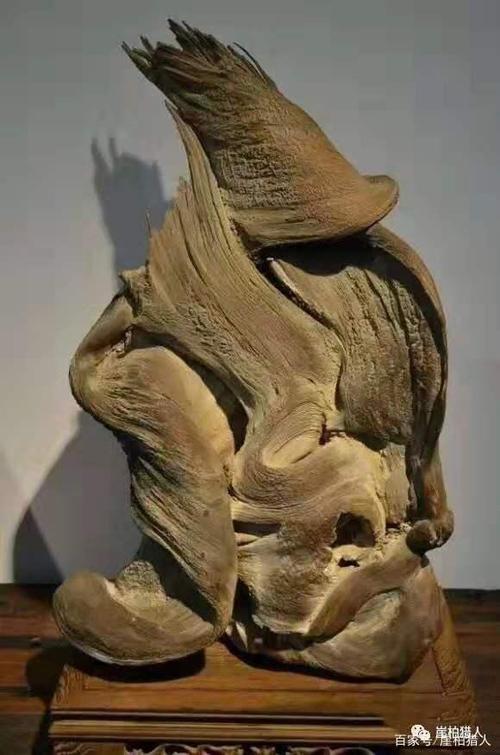 上百万的国宝级崖柏