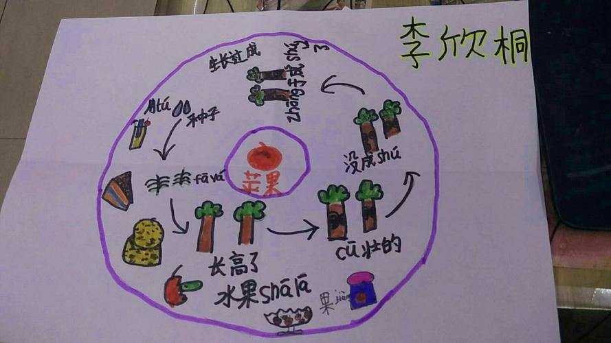 国圣典思维导图走进新建路小学总校二年七班