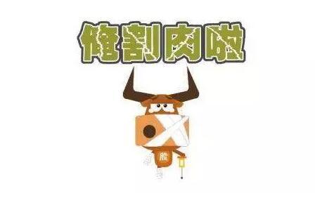 实盘第二天精准割肉了