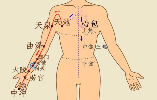 内关穴属于手厥阴心包经,经常按摩有利于心脏的健康.