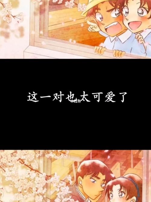 平の和_服部平次远山和叶_影视_动漫_动漫推荐