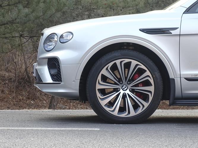 zero轮胎的外表非常精致,同22英寸车轮一起与宾利添越形成了绝佳搭配