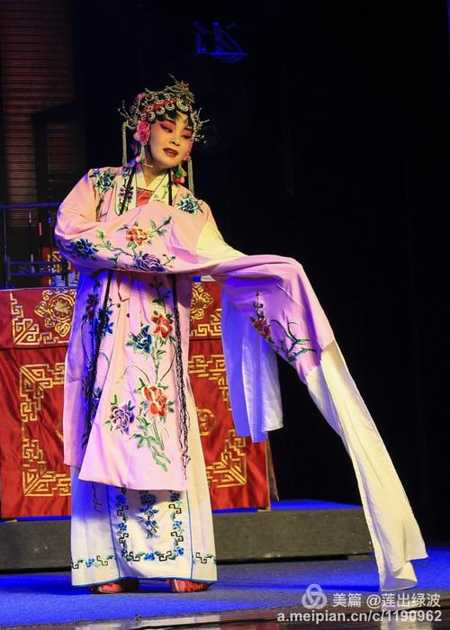 摄影 望江龙腔《描药方》 写美篇 第四组演员参加了2016年安庆黄梅戏