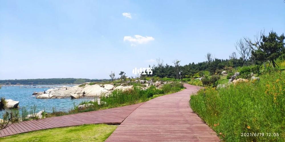 青岛市黄岛区小众旅游景点鱼鸣嘴_黄岛金沙滩_旅行_小众_沙滩_景点