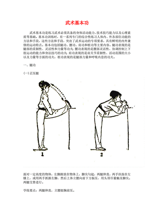 武术基本功图解免费pdf16页