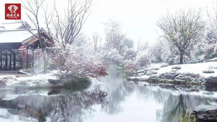 "一夜变 长安"  @长安唐村 置身西安雪景 仿佛一夜梦回大唐 雍容华贵