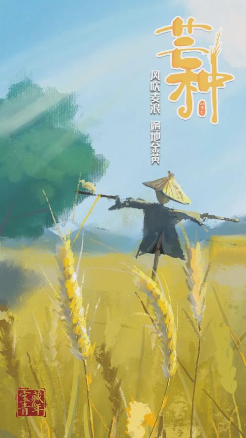 今日芒种