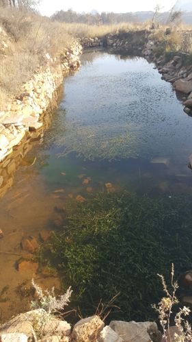 邢台王硇一峡沟水库一西沟一五指山一秦王湖徒步.