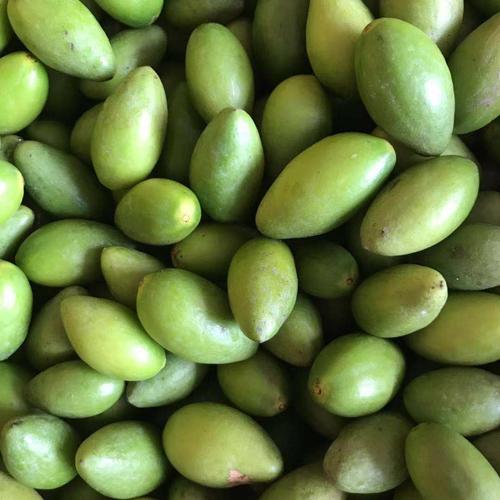 青果生吃酥脆无渣青橄榄 潮汕特产一号甜种橄榄 甘甜