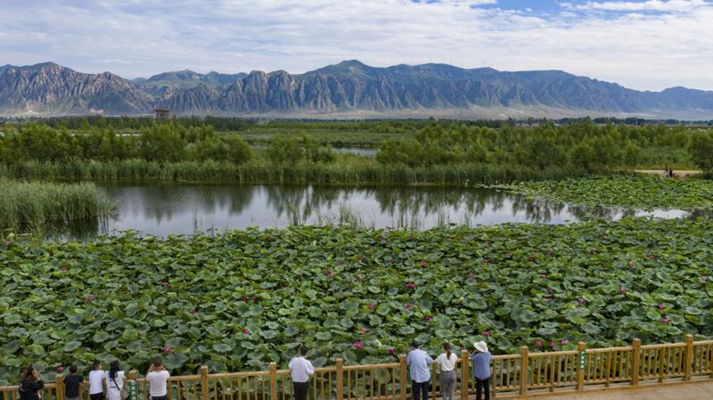 蜿蜒曲折,在境内形成3万亩宝贵的天然湿地,百步湖,丰水湖,下河湾