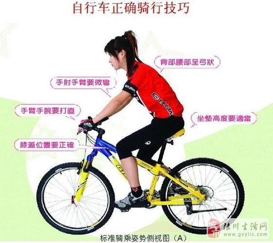骑车正确姿势