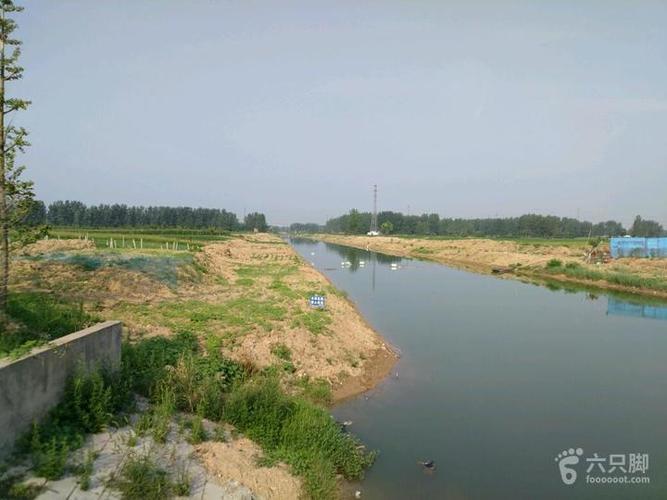 7月5号上午西界洪河与星园路桥_脚印_涡阳县_六只脚