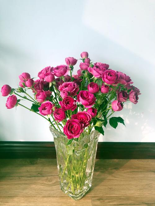 玫瑰之多头丁香泡泡_紫红色_种草_家居家装_家居装饰