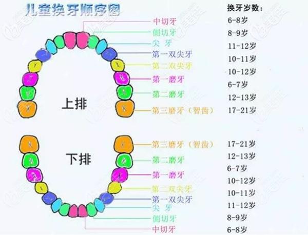 六龄牙坏了怎么办会换吗麻麻知道六龄齿终身不换吗