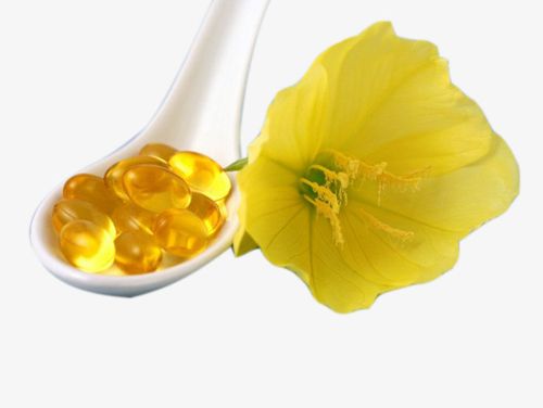 月见草甘油图片素材