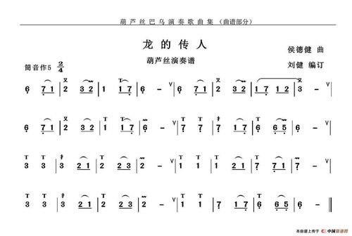 葫芦丝云合奏——《龙的传人》