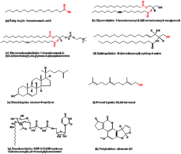 lipid drawing - related image & keywords suggestions