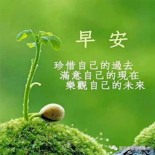 情诗短信(甜甜的诗意般的早安情话短信情诗)