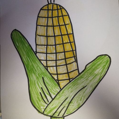 汉城源筑幼儿园 绘画《玉米》 写美篇 涂上好看的颜色,老师的作品完成