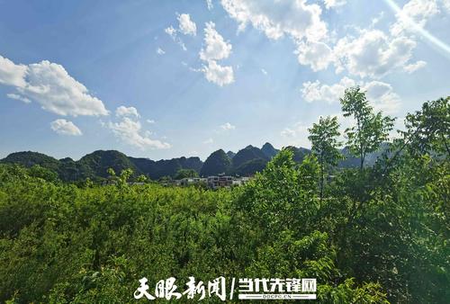 兴义万峰林美景(资料图)