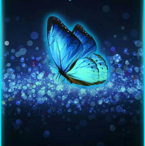 幽蓝蝴蝶,神秘唯美